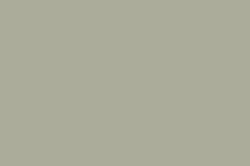 Tender Gray