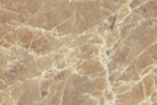 Acorn