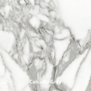 Calcutta Gray